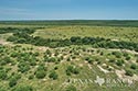 812 acre ranch Zavala County image 35