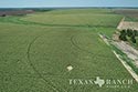 812 acre ranch Zavala County image 37