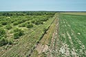 812 acre ranch Zavala County image 38