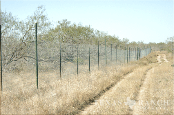 cattle ranch 814 acres, Jim Hogg county - image