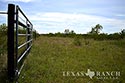 840 acre ranch Zavala County image 21