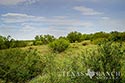 840 acre ranch Zavala County image 3