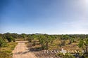 870 acre ranch Uvalde County image 6