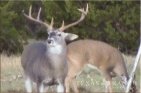 hunting ranch 890 acres edwards county