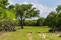 920 acre ranch Medina & Frio County image 26