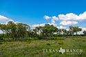 920 acre ranch Medina & Frio County image 35