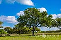 920 acre ranch Medina & Frio County image 37