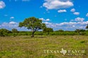 920 acre ranch Medina & Frio County image 38