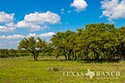 920 acre ranch Medina & Frio County image 39