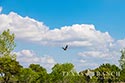 920 acre ranch Medina & Frio County image 40