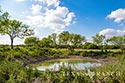 920 acre ranch Medina & Frio County image 42