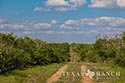 920 acre ranch Medina County image 44