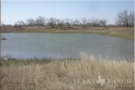 925 acres uvalde county image 3