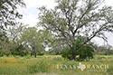 928 acre ranch County image 30