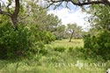 928 acre ranch County image 31