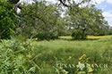 928 acre ranch County image 31