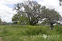 928 acre ranch County image 42