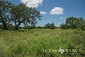 928 acre ranch County image 48