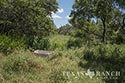 928 acre ranch County image 49