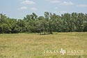 928 acre ranch County image 55