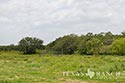 928 acre ranch County image 57