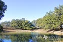 928 acre ranch County image 59