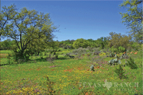 936 acre ranch lanno county image 3