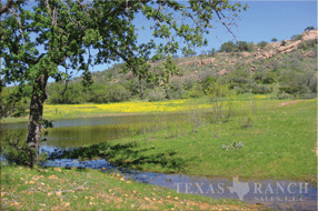 936 acre ranch lanno county image 6