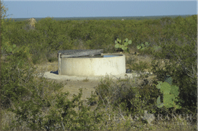 Ranch for sale in Maverick 940 acres image 5