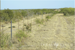 Ranch for sale in Maverick 940 acres image 6
