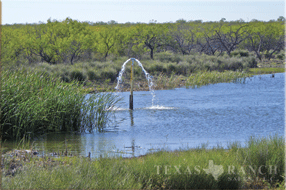 Ranch for sale in Maverick 940 acres image 8