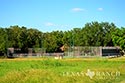 940 acre ranch Medina County image 13