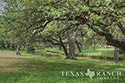 940 acre ranch Medina County image 30