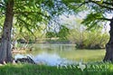 940 acre ranch Medina County image 5