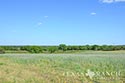 940 acre ranch Medina County image 8