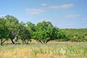 940 acre ranch Medina County image 9