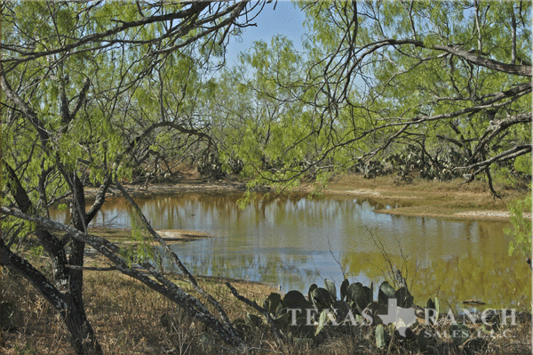 956 zavala county image 2