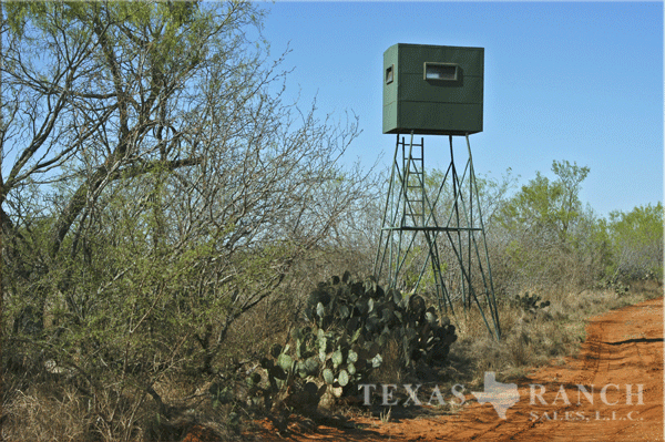 956 zavala county image 3