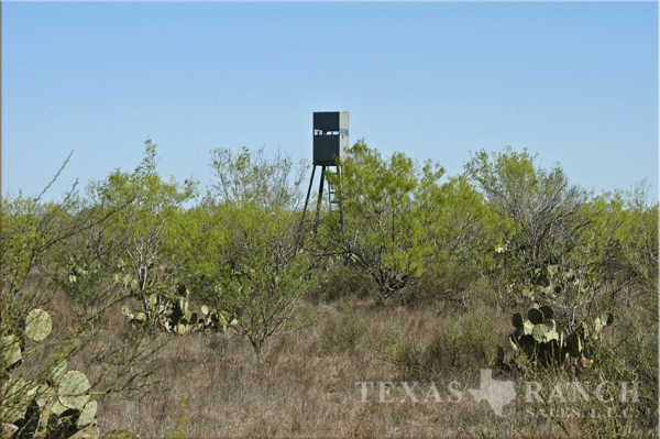 956 zavala county image 6