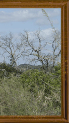 956 Zavala banner 5