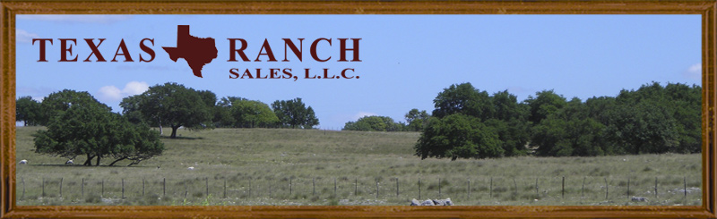 hill country cattle ranch for sale