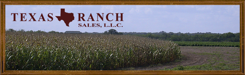 Farms for sale in texas