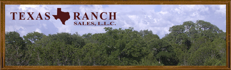 horse property for sale in texas