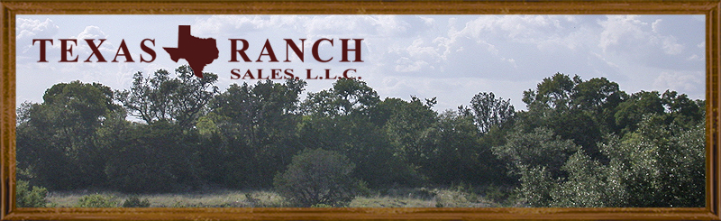 horse property for sale in texas