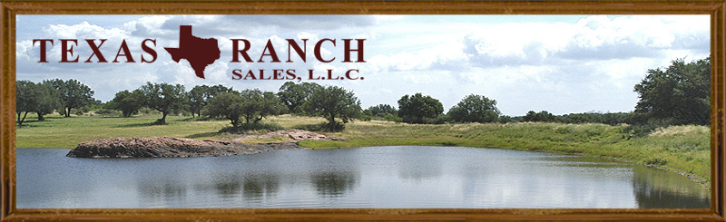 home page banner