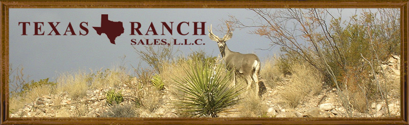 contact page banner