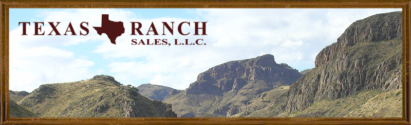 west texas large ranches