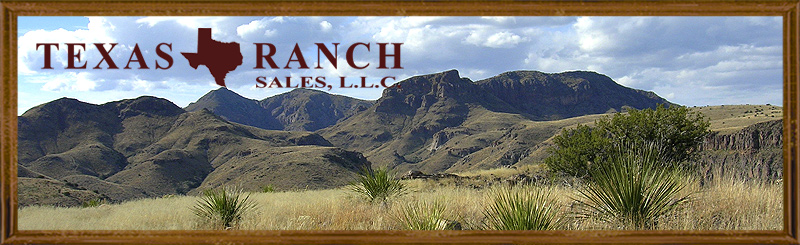 west texas small cattle ranches