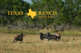 Uvalde Office