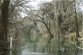 Feature property slide show.
